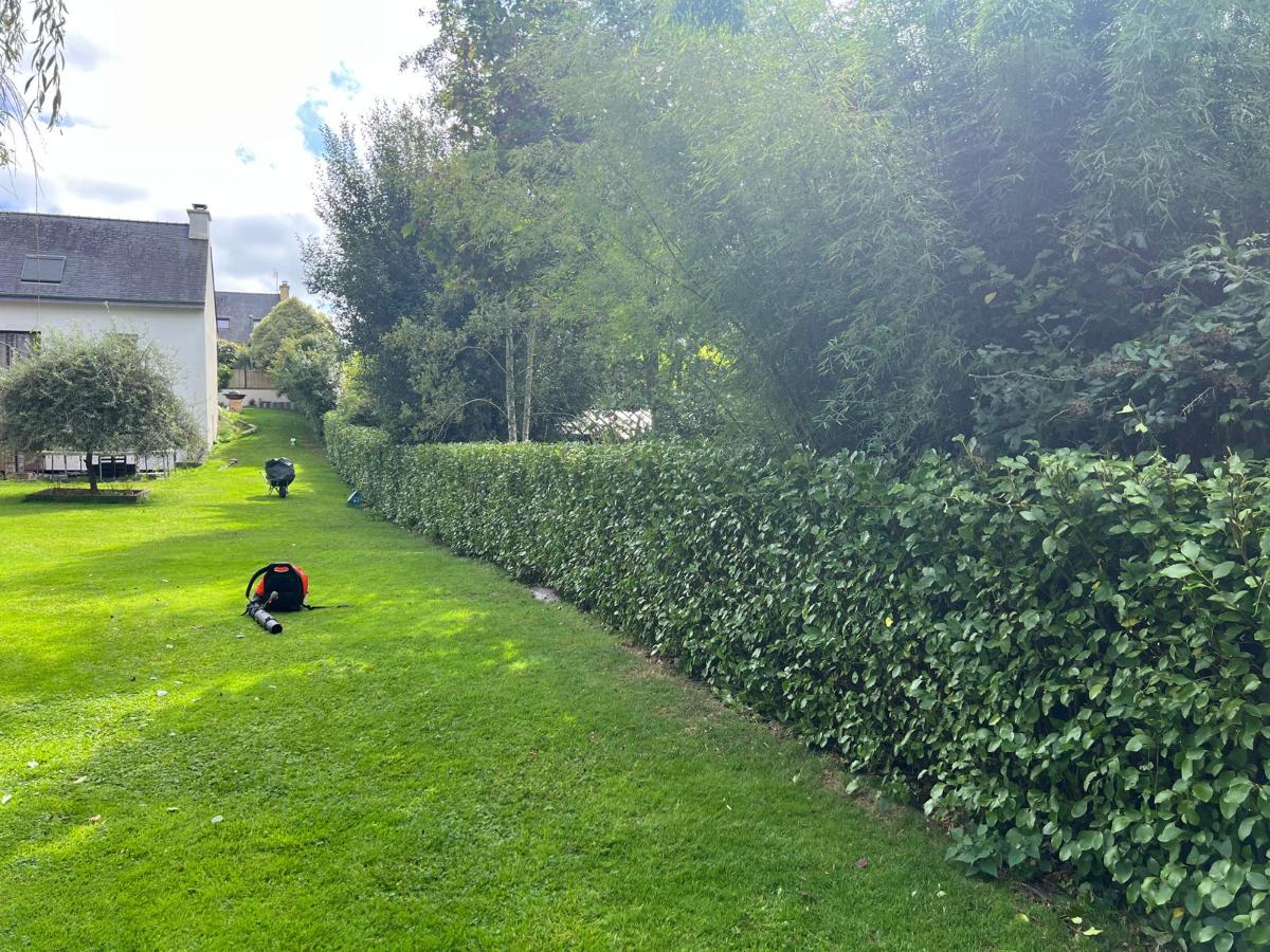 Chantier d'entretien de jardin réalisé par Antoine Machacek, paysagiste du réseau Factotum, près de Brest 